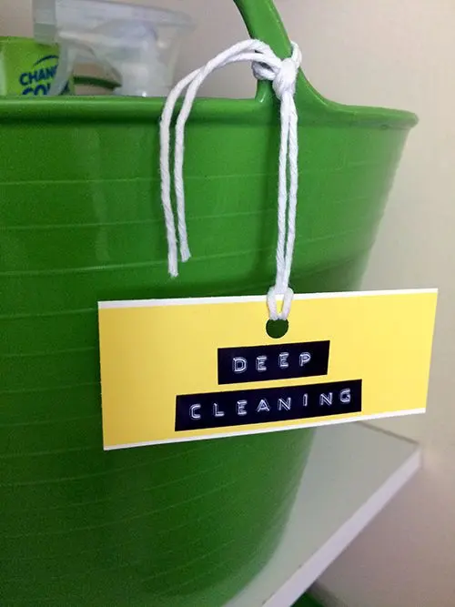 DYMO Organizer Xpress Label Deep Cleaning